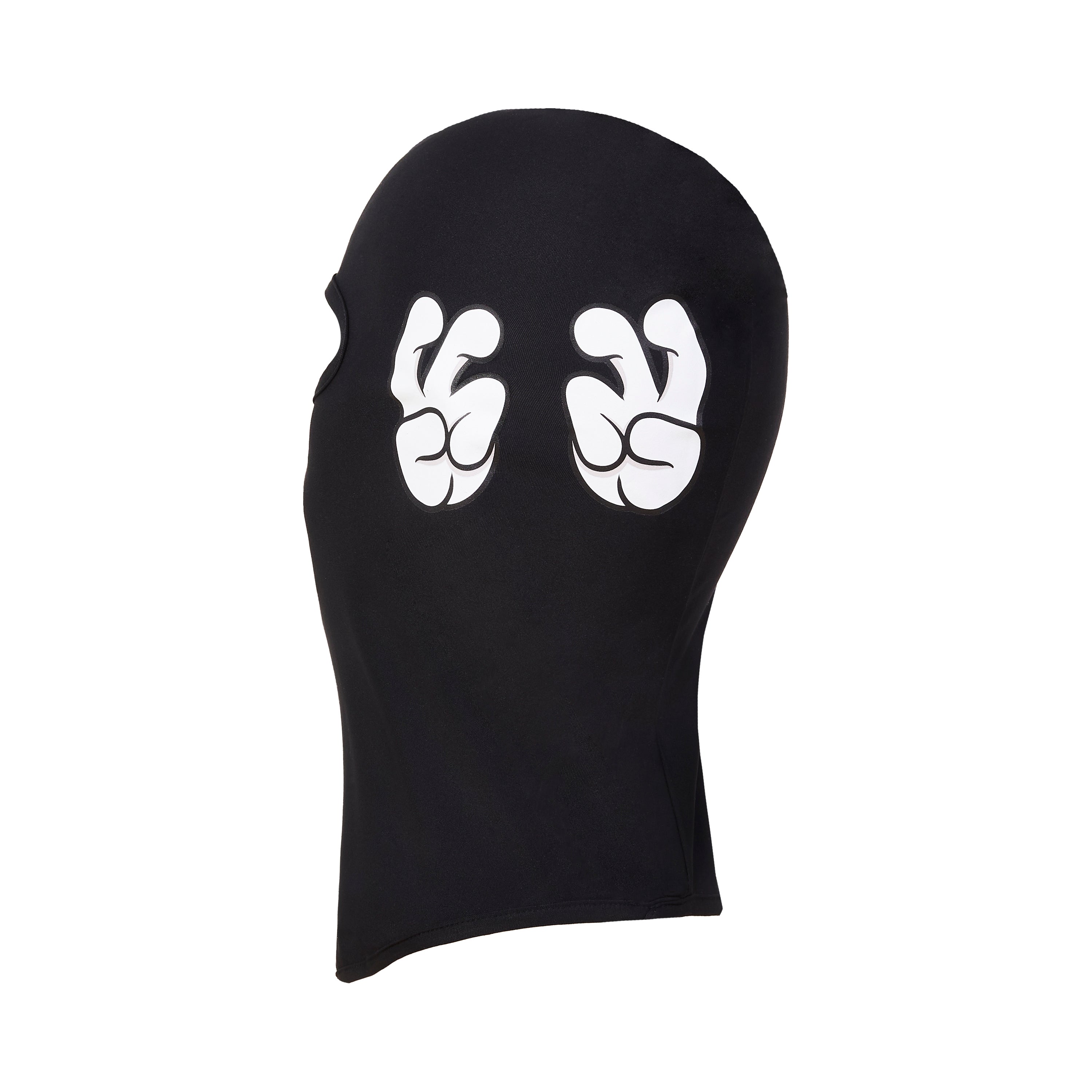 SV2 ski mask
